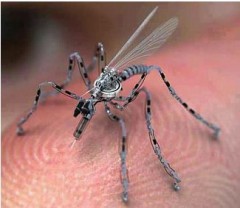insecte-spy-drone.jpg